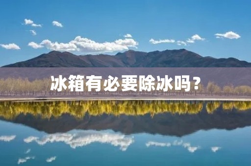 冰箱有必要除冰吗? 冰箱有必要除冰吗?