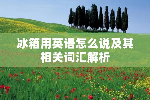 冰箱用英语怎么说及其相关词汇解析