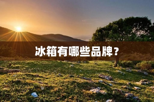 冰箱有哪些品牌? 冰箱有哪些品牌?