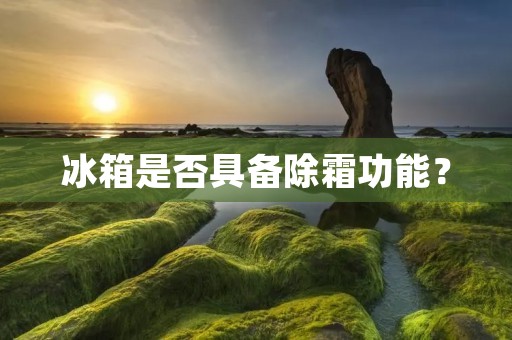 冰箱是否具备除霜功能？