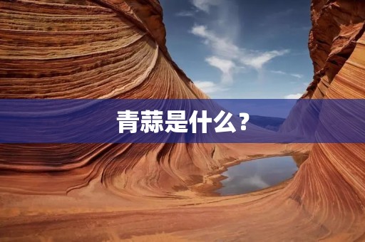 青蒜是什么？