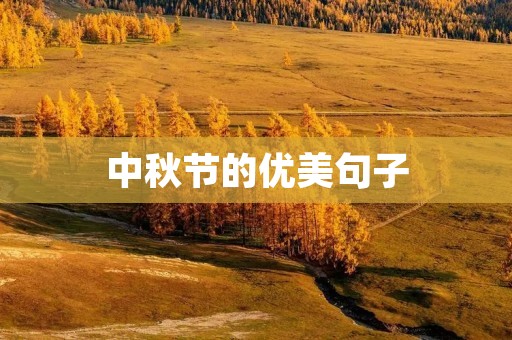 中秋节的优美句子
