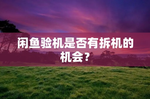 闲鱼验机是否有拆机的机会？