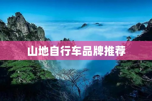 山地自行车品牌推荐