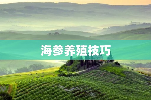 海参养殖技巧:怎样发海参 海参养殖技巧:怎样发海参