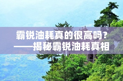 霸锐油耗真的很高吗?——揭秘霸锐油耗真相 霸锐油耗真的很高吗?——揭秘霸锐油耗真相