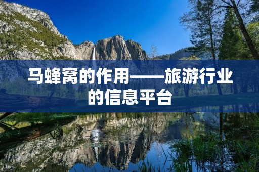 马蜂窝的作用——旅**业的信息平台