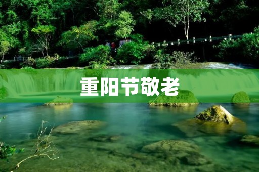 重阳节敬老:传承中华美德,感恩爱老人