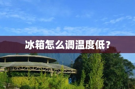 冰箱怎么调温度低? 冰箱怎么调温度低?