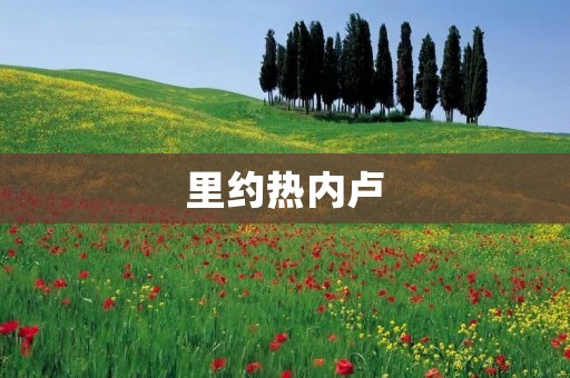 里约热内卢：2016奥运会的主办城市