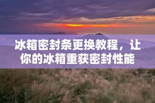 冰箱密封条更换教程，让你的冰箱重获密封性能
