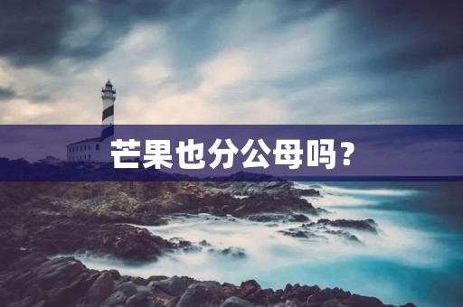 芒果也分公母吗?