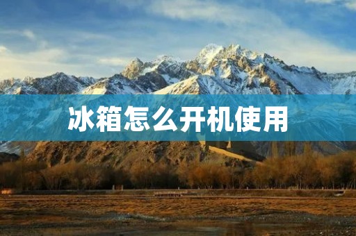 冰箱怎么开机使用 冰箱怎么开机使用