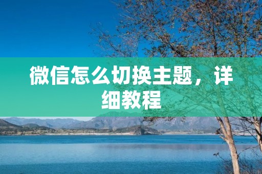 微信怎么切换主题，详细教程