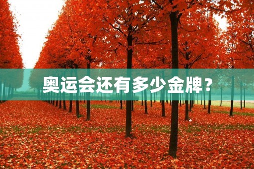 奥运会还有多少金牌?