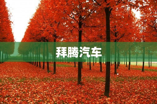 拜腾汽车:创新科技驱动,引领智能出行新时代 拜腾汽车:创新科技驱动,引领智能出行新时代