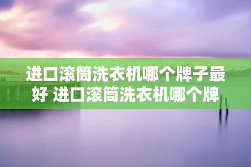 进口滚筒洗衣机哪个牌子最好 进口滚筒洗衣机哪个牌子最好用 进口滚筒洗衣机哪个牌子最好 进口滚筒洗衣机哪个牌子最好用