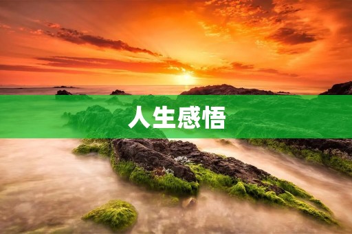 人生感悟 人生感悟