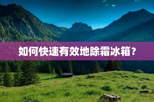 如何快速有效地除霜冰箱？