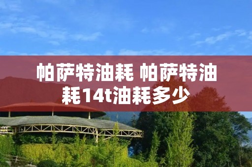 帕萨特油耗 帕萨特油耗14t油耗多少