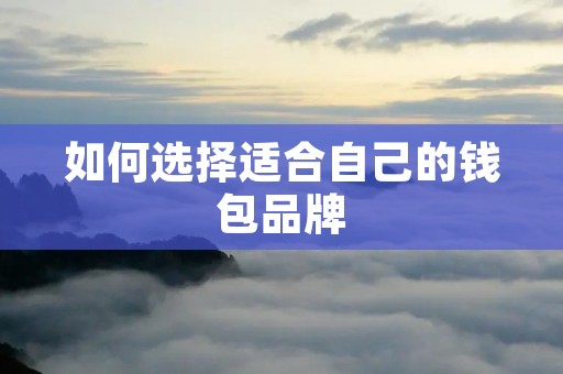 如何选择适合自己的钱包品牌