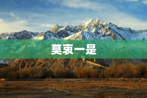 莫衷一是:如何正确理解这个词汇? 莫衷一是:如何正确理解这个词汇?