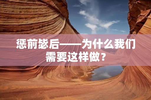 惩前毖后——为什么我们需要这样做？