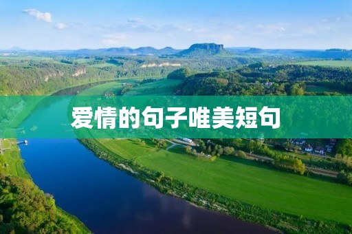爱情的句子唯美短句