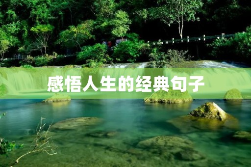 感悟人生的经典句子