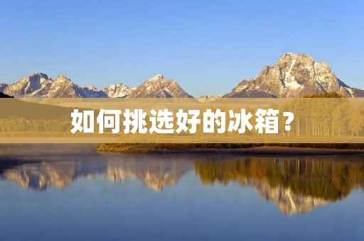如何挑选好的冰箱? 如何挑选好的冰箱?