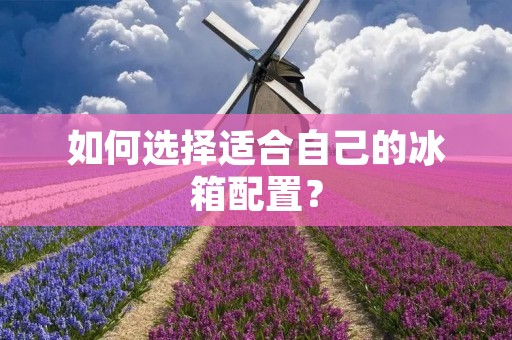 如何选择适合自己的冰箱配置? 如何选择适合自己的冰箱配置?