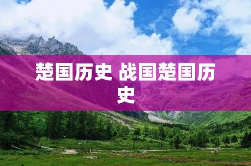 楚国历史 战国楚国历史