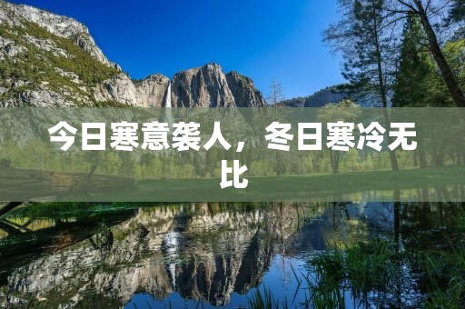 今日寒意袭人,冬日寒冷无比