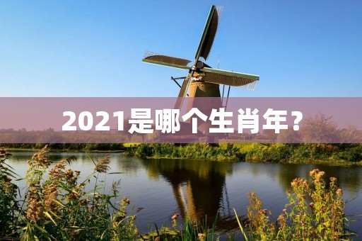 2021是哪个生肖年?