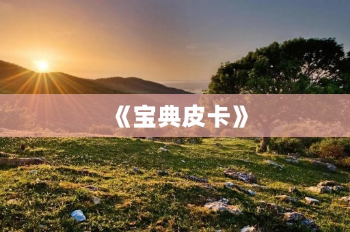 《宝典皮卡》：一款值得拥有的经典游戏