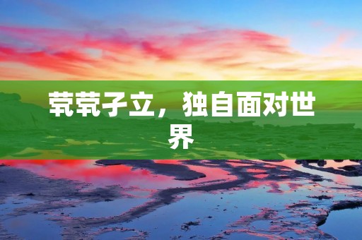茕茕孑立，独自面对世界