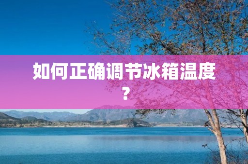 如何正确调节冰箱温度? 如何正确调节冰箱温度?