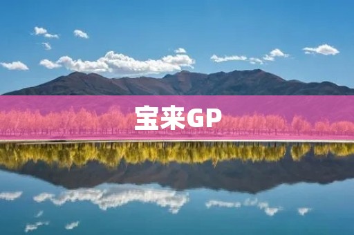 宝来GP：性能卓越的经典轿车
