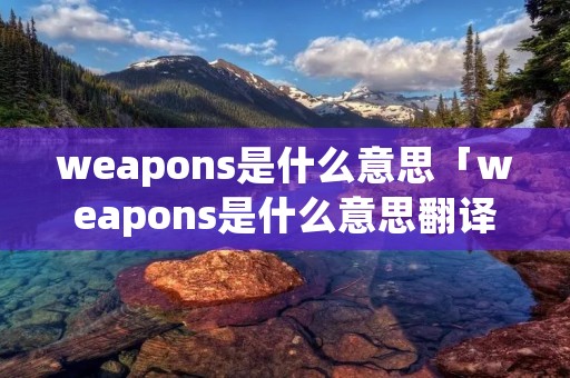 weapons是什么意思「weapons是什么意思翻译」