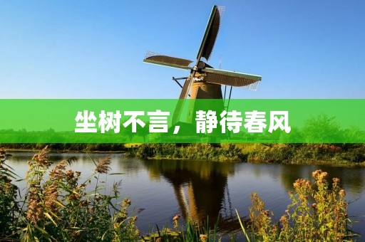 坐树不言，静待春风