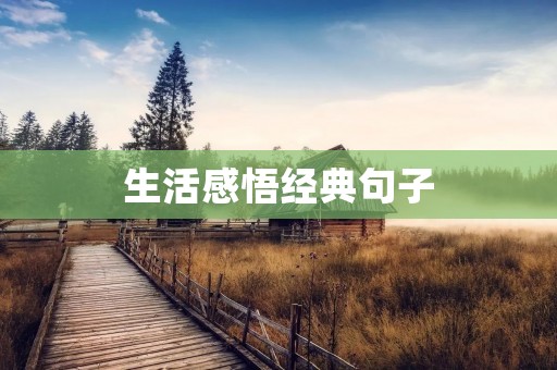 生活感悟经典句子 生活感悟经典句子