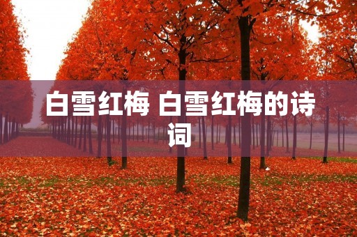 白雪红梅 白雪红梅的诗词