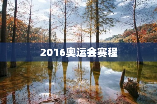 2016奥运会赛程：巴西里约热内卢盛大开幕