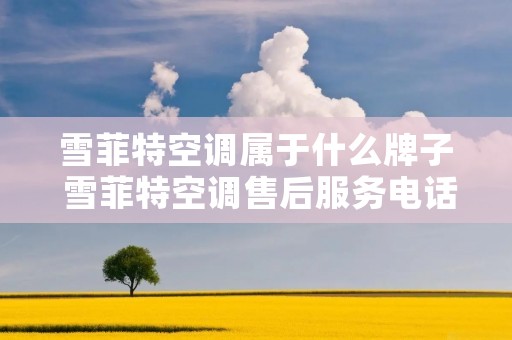 雪菲特空调属于什么牌子 雪菲特空调售后服务** 雪菲特空调属于什么牌子 雪菲特空调售后服务**