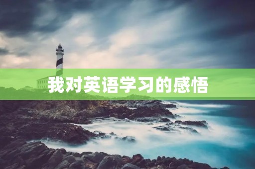 我对英语学习的感悟