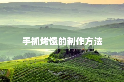 手抓烤馕的制作方法 手抓烤馕的制作方法