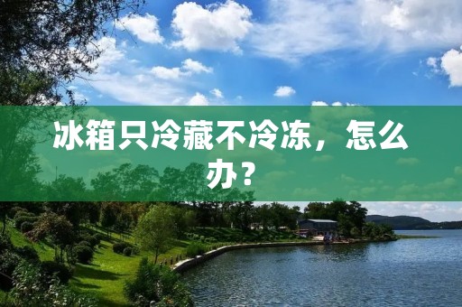 冰箱只冷藏不冷冻,怎么办? 冰箱只冷藏不冷冻,怎么办?