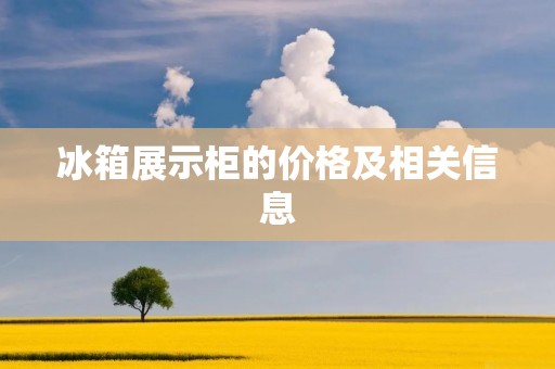 冰箱展示柜的价格及相关信息 冰箱展示柜的价格及相关信息