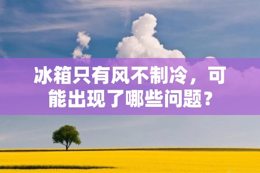 冰箱只有风不制冷,可能出现了哪些问题? 冰箱只有风不制冷,可能出现了哪些问题?