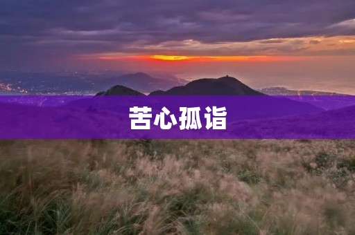 苦心孤诣：追求卓越的不懈努力